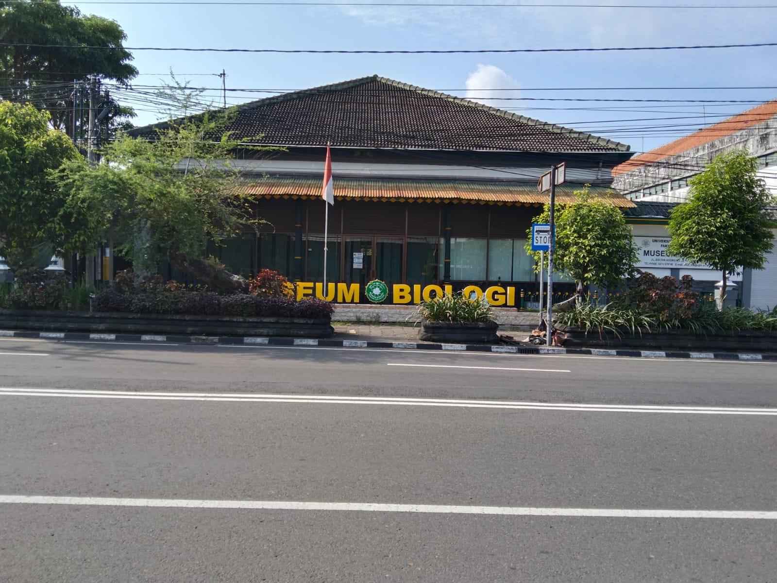 museum
